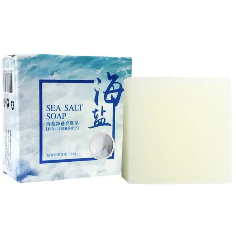 Savon Artisanal 100g Sel Mer Lait Chèvre - Mousse Riche Douce Naturel Huile Essentielle