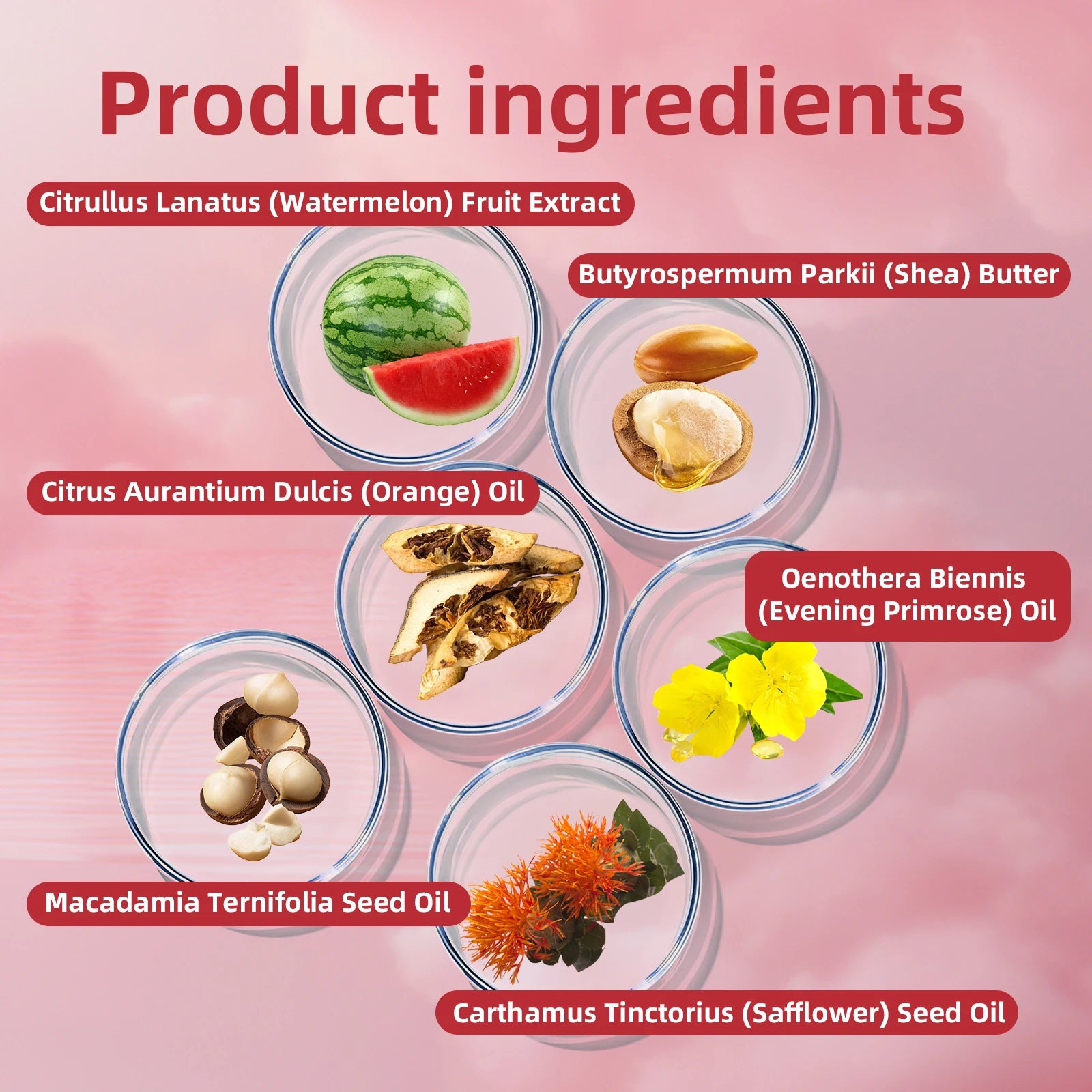 Gommage au sucre de karité et pastèque naturel 150g - Exfoliant pour le corps, peau hydratante, lisse et brillante, pour coudes, genoux, dos et jambes